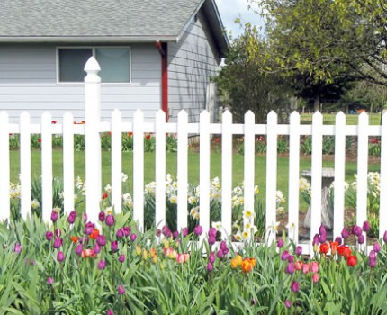 溫州園藝鐵藝圍欄